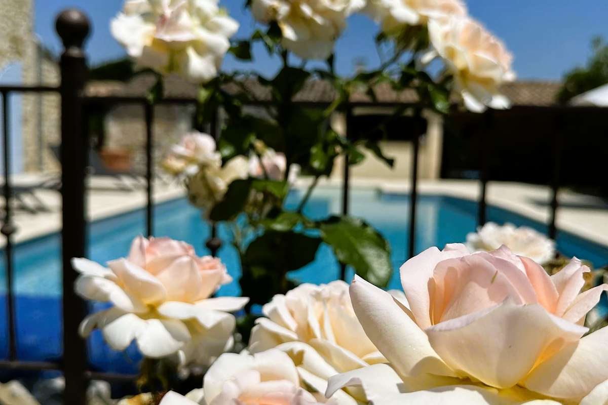 Les jardins de la Bastide de Vallon